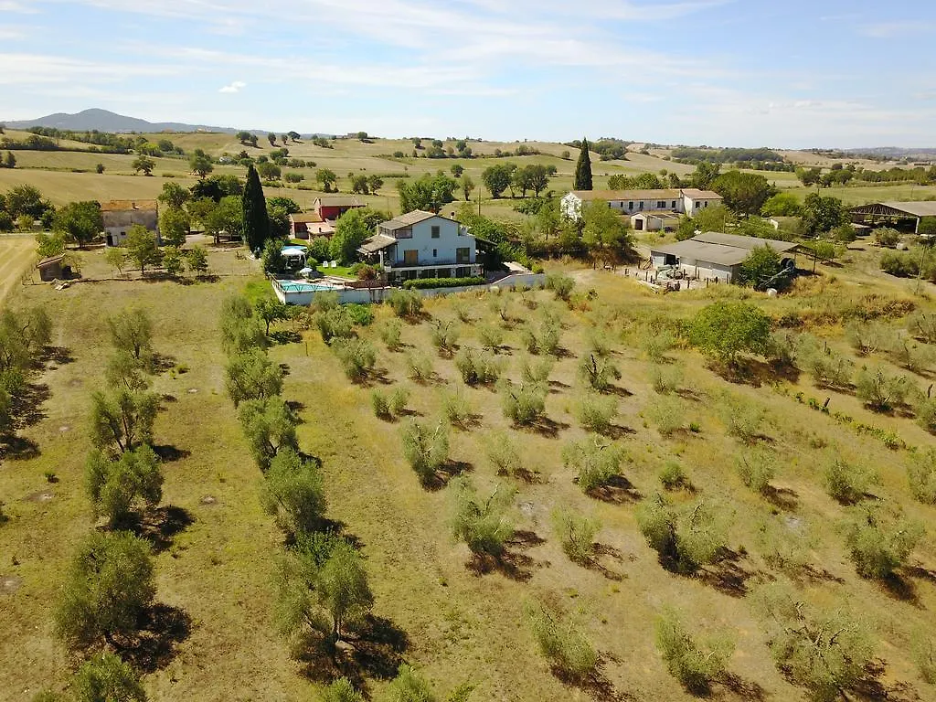 Almatoscana Campagnatico Guest house